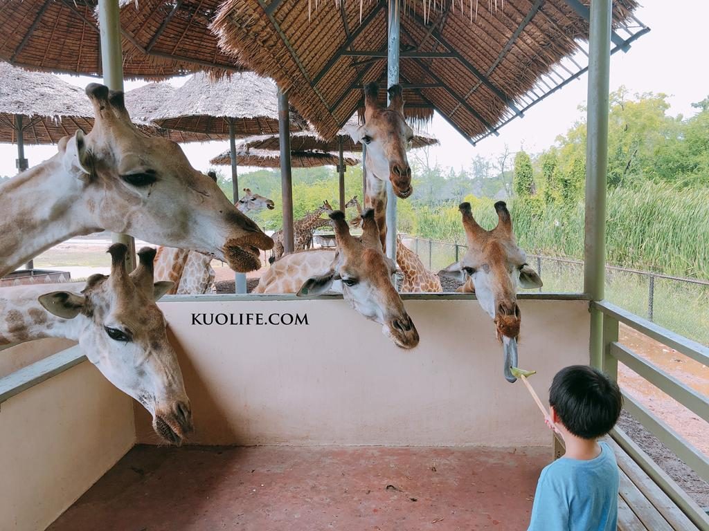 曼谷動物園、曼谷賽佛瑞野生動物園、Bangkok Safari World、