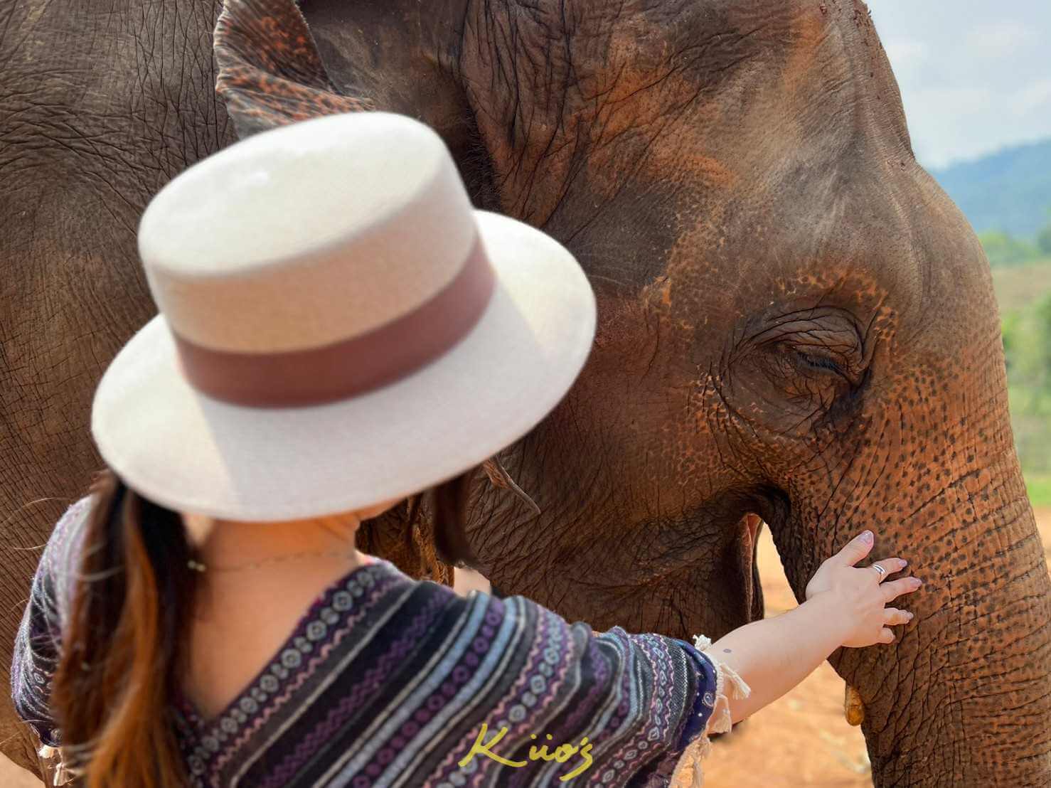 【泰國清邁行程推薦】超好玩大象叢林保護區自由行必排景點