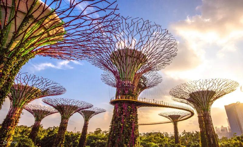 【2024新加坡景點推薦TOP10必去】新加坡景點地圖!新加坡自助懶人包