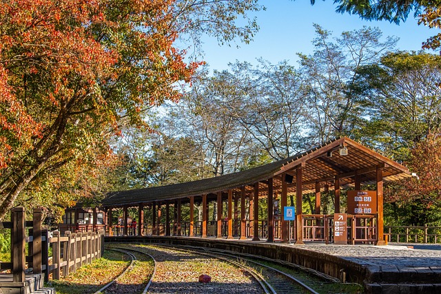 阿里山住宿推薦