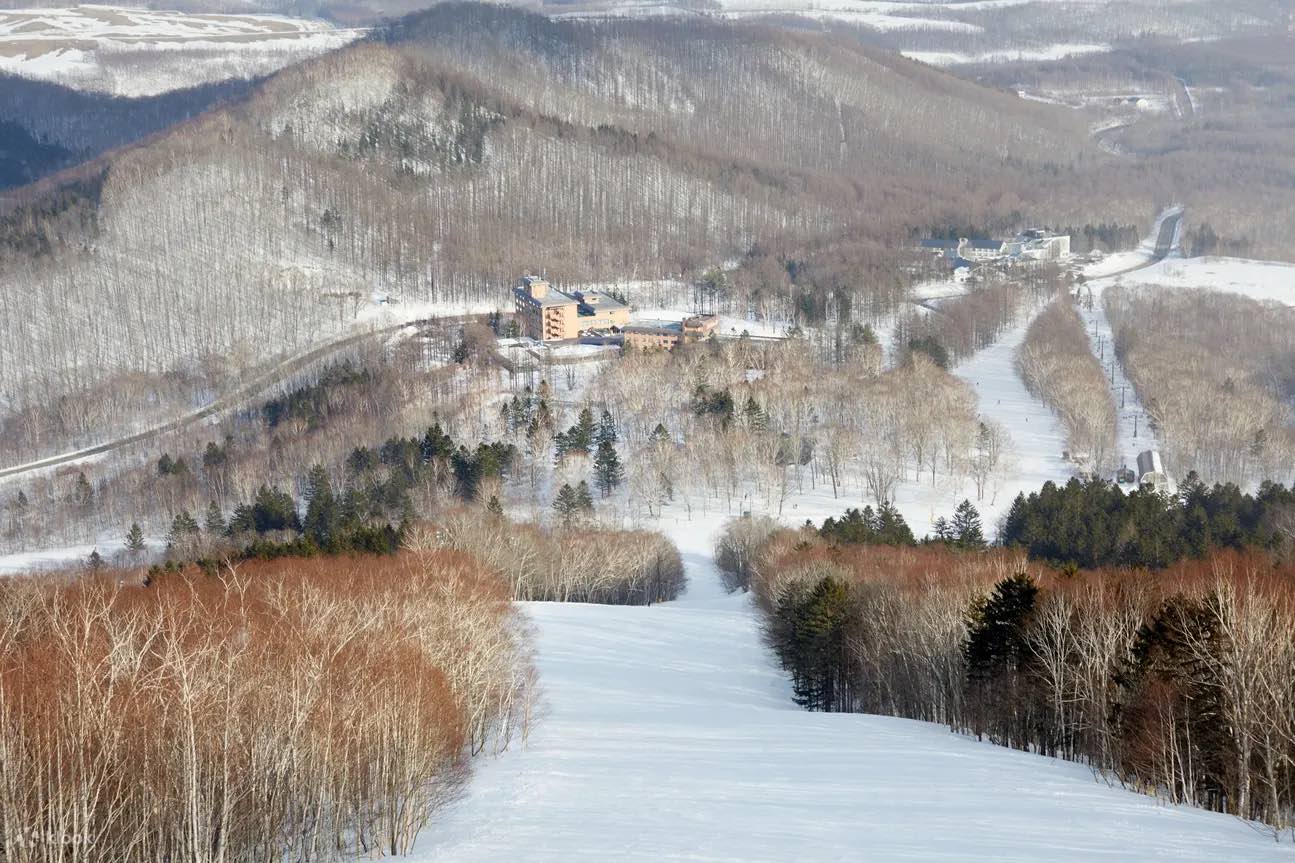 【2024-2025北海道滑雪】Top10人氣北海道滑雪場.費用.交通住宿攻略！