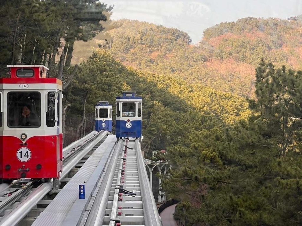 【釜山 pass】2025釜山通行證、購買與使用攻略、這樣玩最划算! 7 【2024釜山景點推薦TOP12】釜山自由行!必看釜山景點地圖!