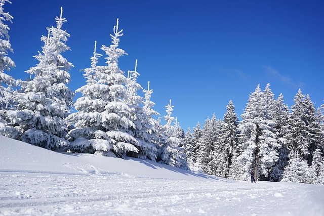 【2024-2025日本東北滑雪】Top6人氣雪場.費用.交通住宿攻略！