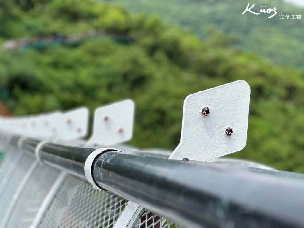 【2024雄獅旅遊】兩天一夜.緩慢大鵬灣.東港迎王.小琉球景點.專車接送!