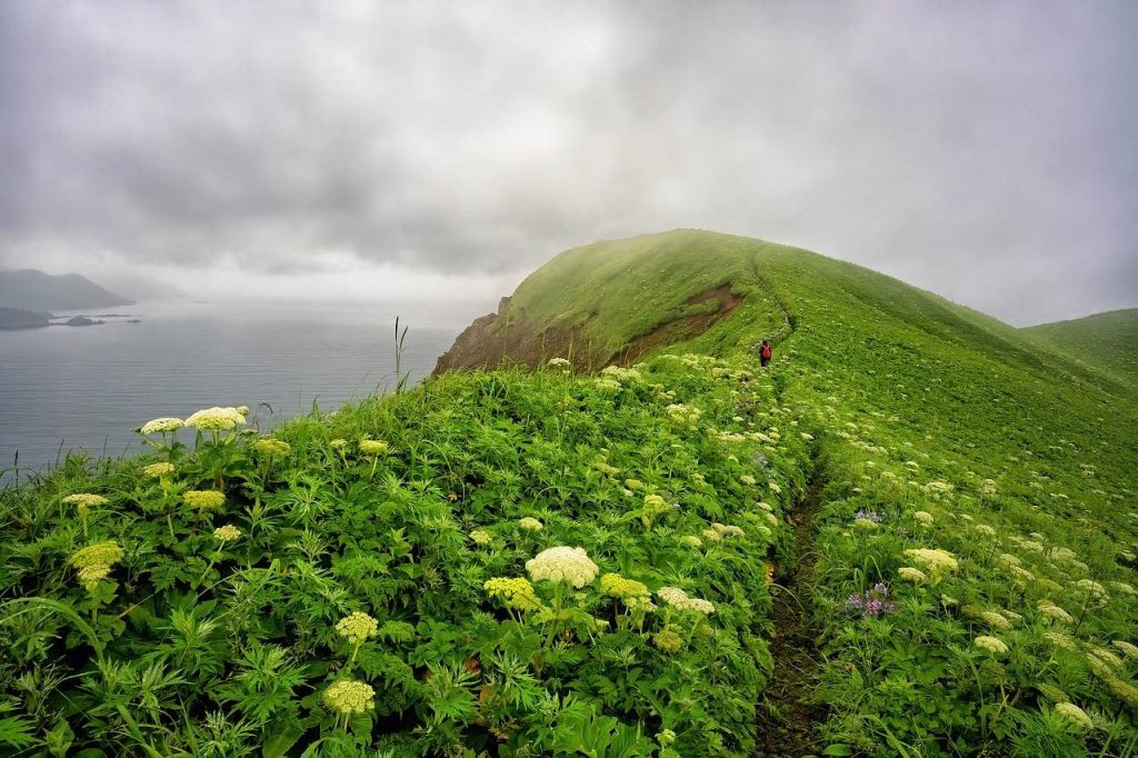 北海道花季、北海道自由行、北海道景點