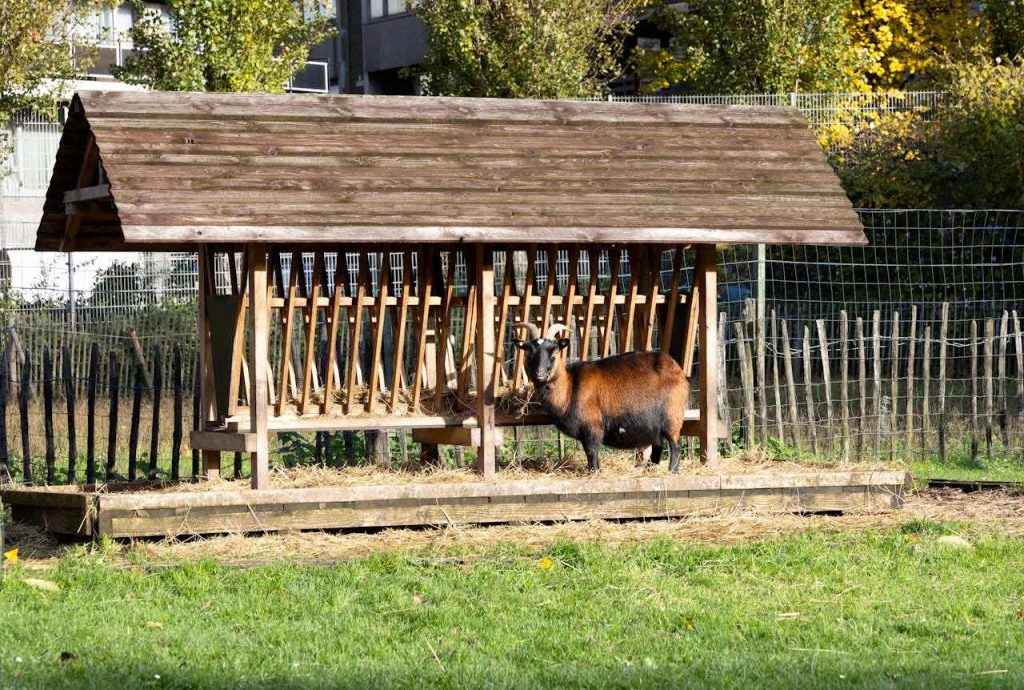 台灣動物園