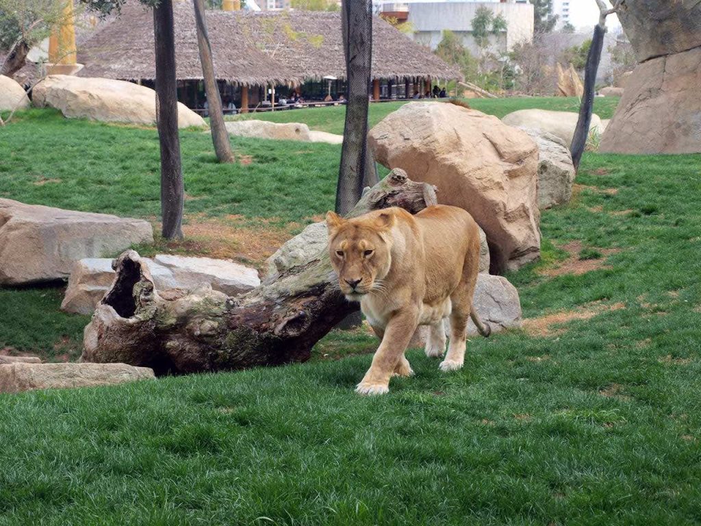 台灣動物園