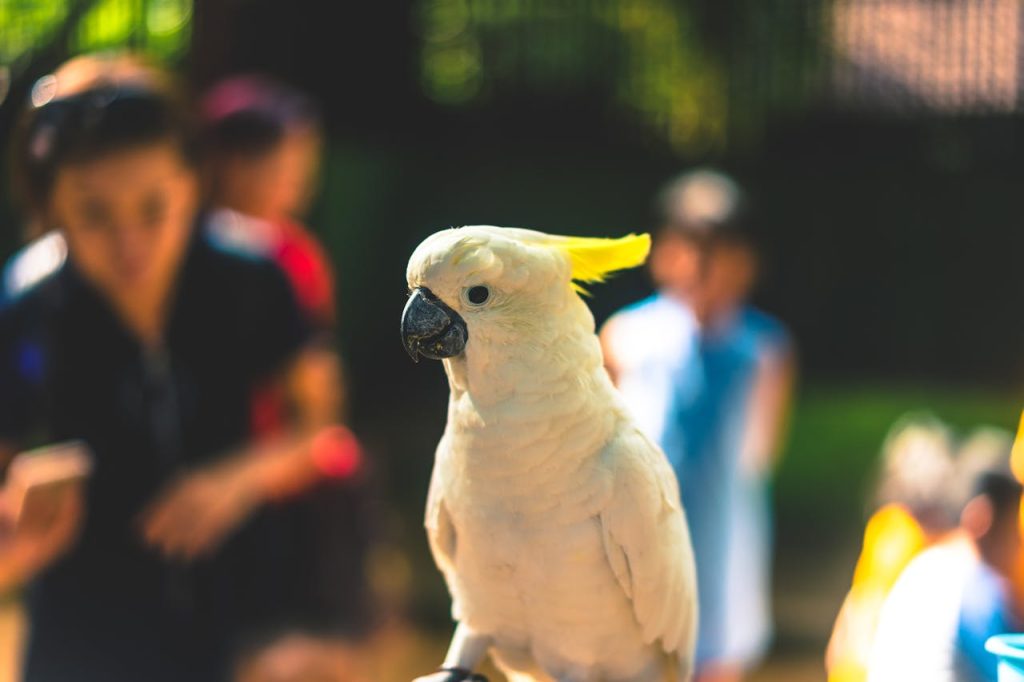 台灣動物園