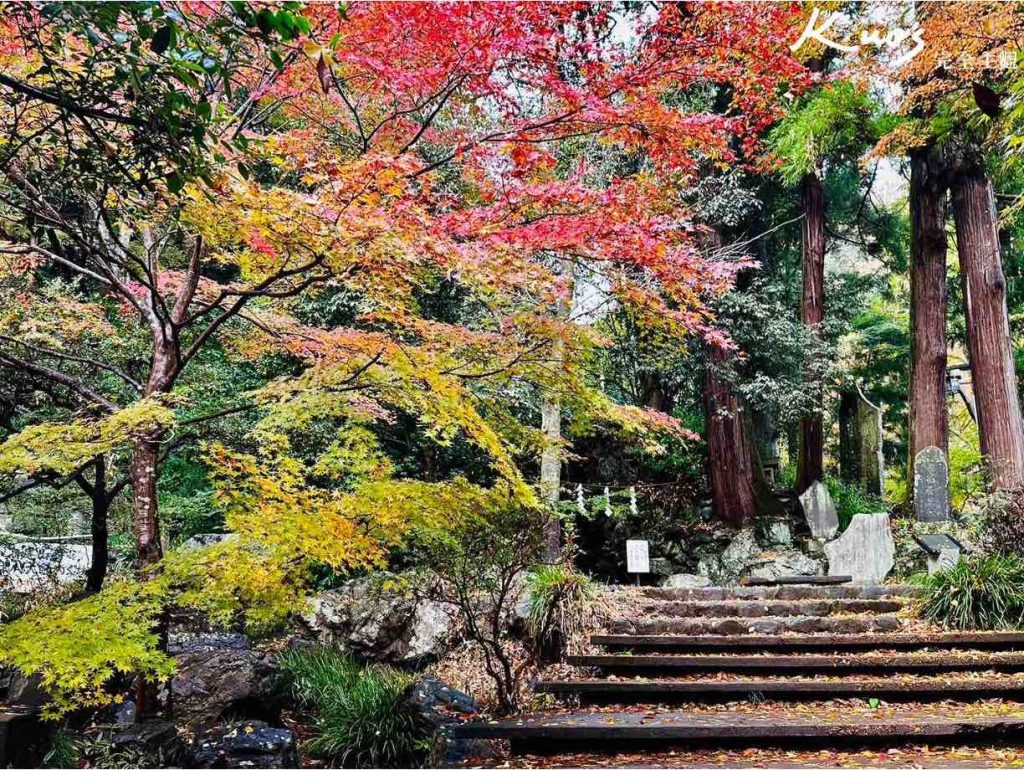 高尾山纜車、東京景點