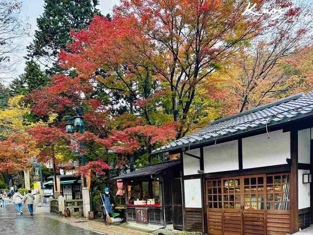 高尾山纜車、東京景點