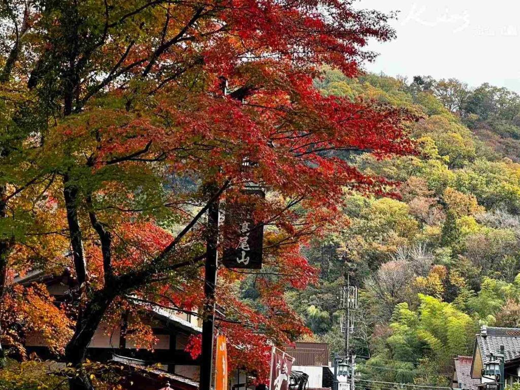 高尾山纜車、東京景點