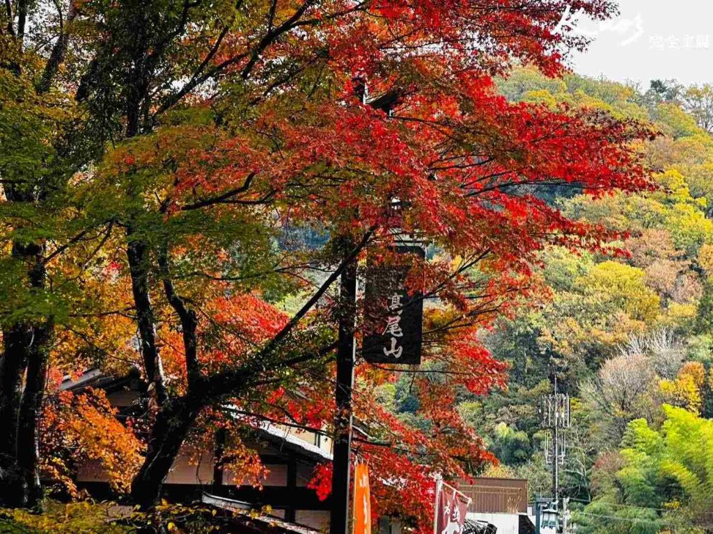 高尾山纜車、東京景點、高尾山楓葉