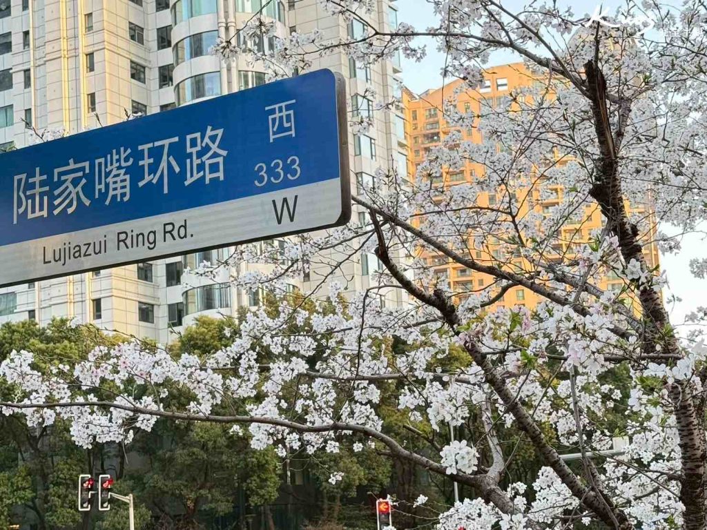 【2025最新!】上海景點.Top12必去.豫園.法租界.上海迪士尼! 20 20250416112626 0 f762eb