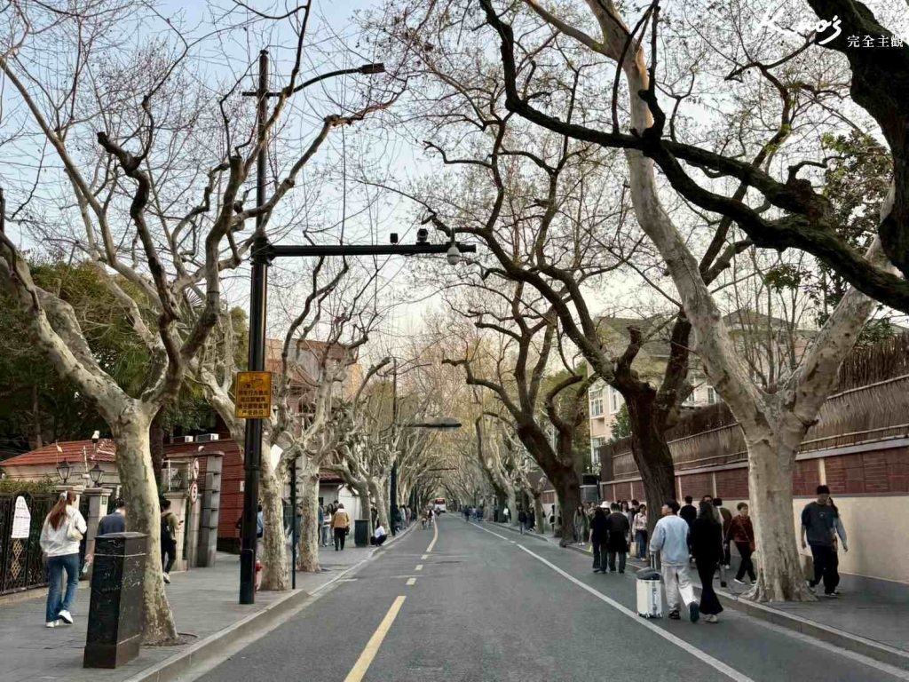 【2025最新!】上海景點.Top12必去.豫園.法租界.上海迪士尼! 29 20250416112712 0 d926fe