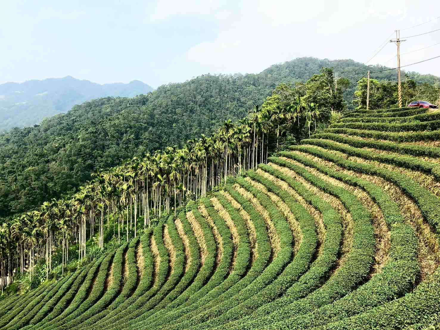石碇烏來千鳥湖