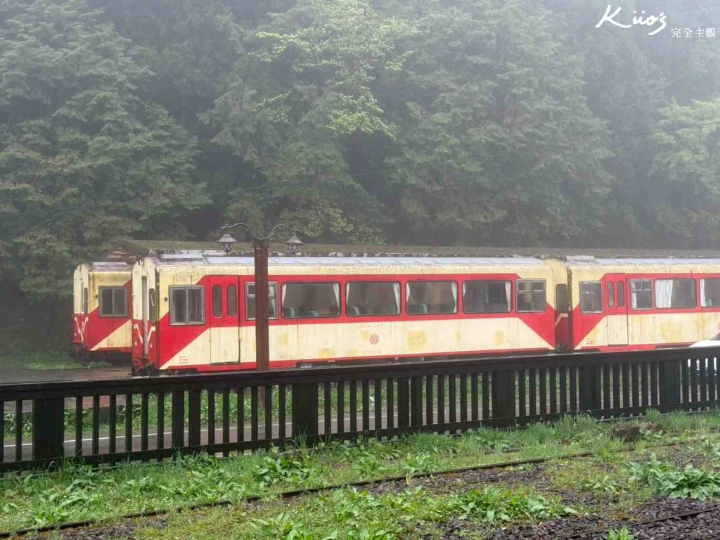 【2025阿里山小火車】搭小火車賞花攻略.日出雲海.神木鐵道.交通住宿! 5 阿里山小火車
