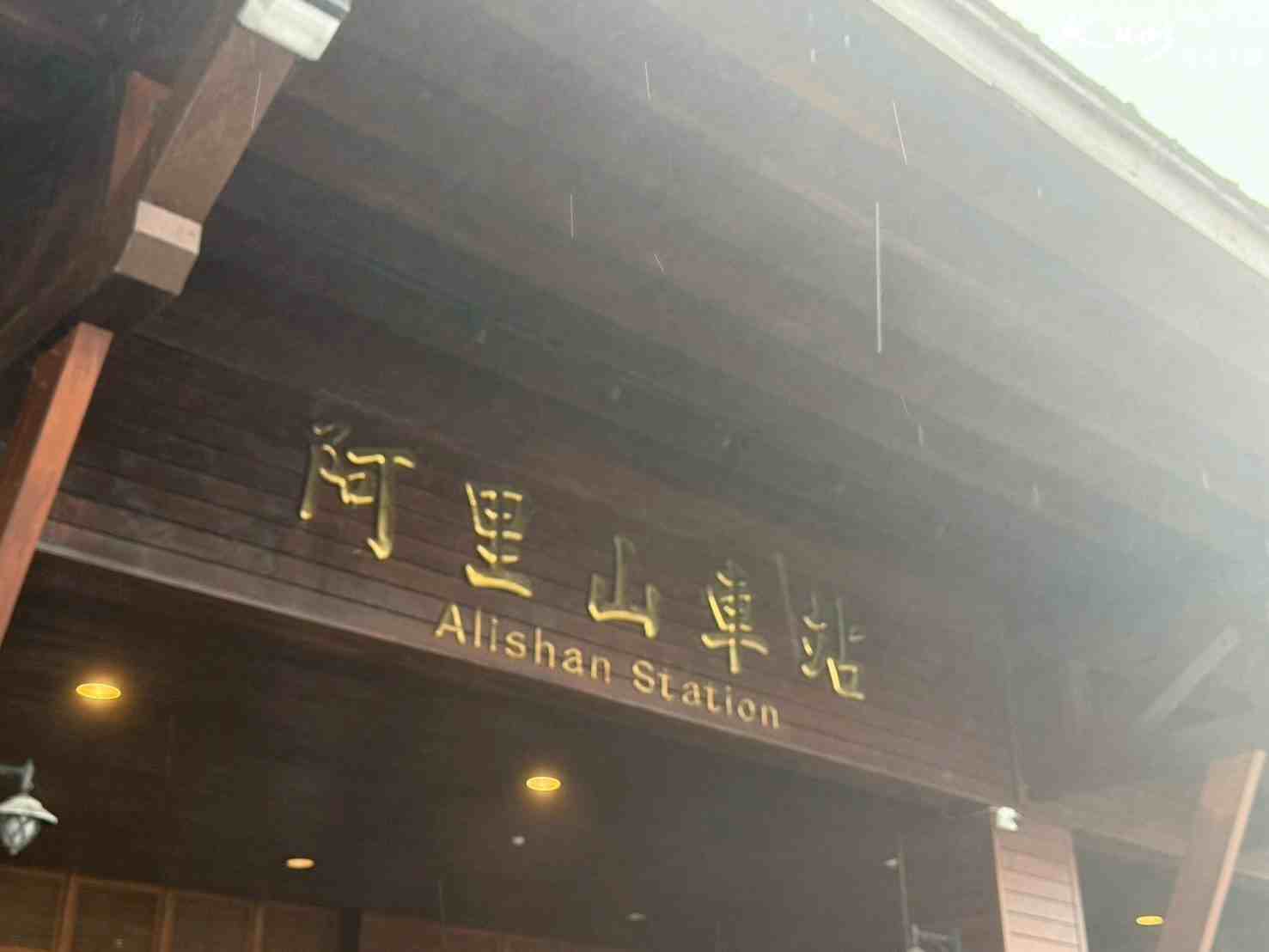 【台鐵觀光列車】全台7大觀光列車!票價資訊.行程特色.搭車攻略! 14 阿里山小火車