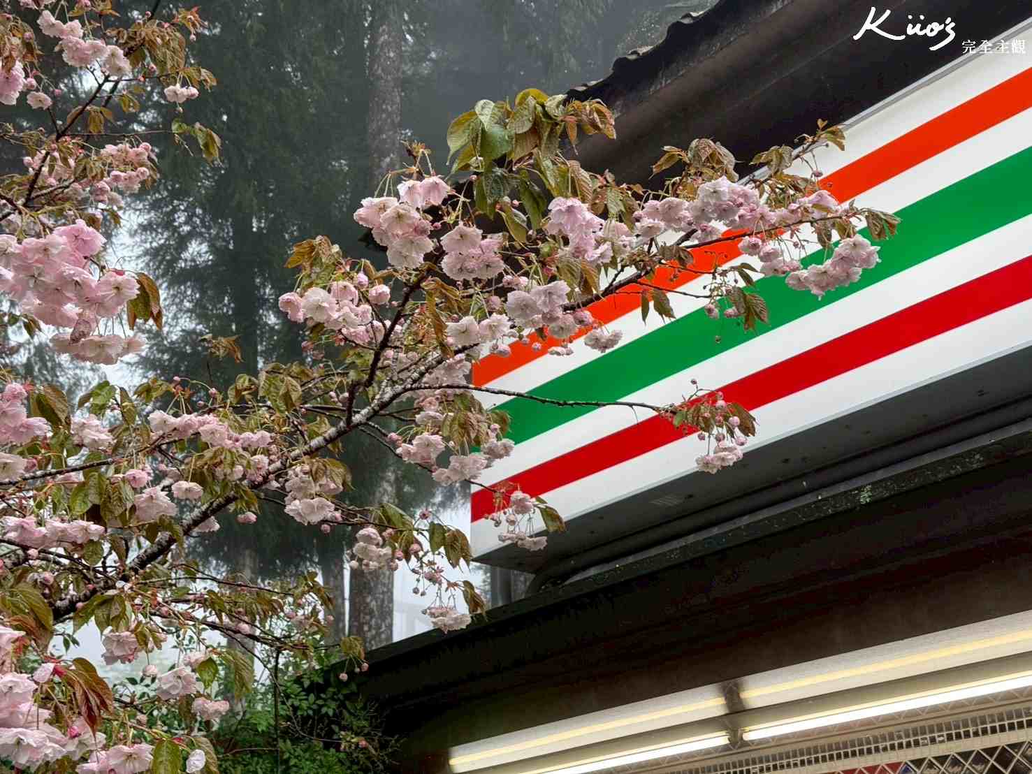 20250430153338 0 34dbcc