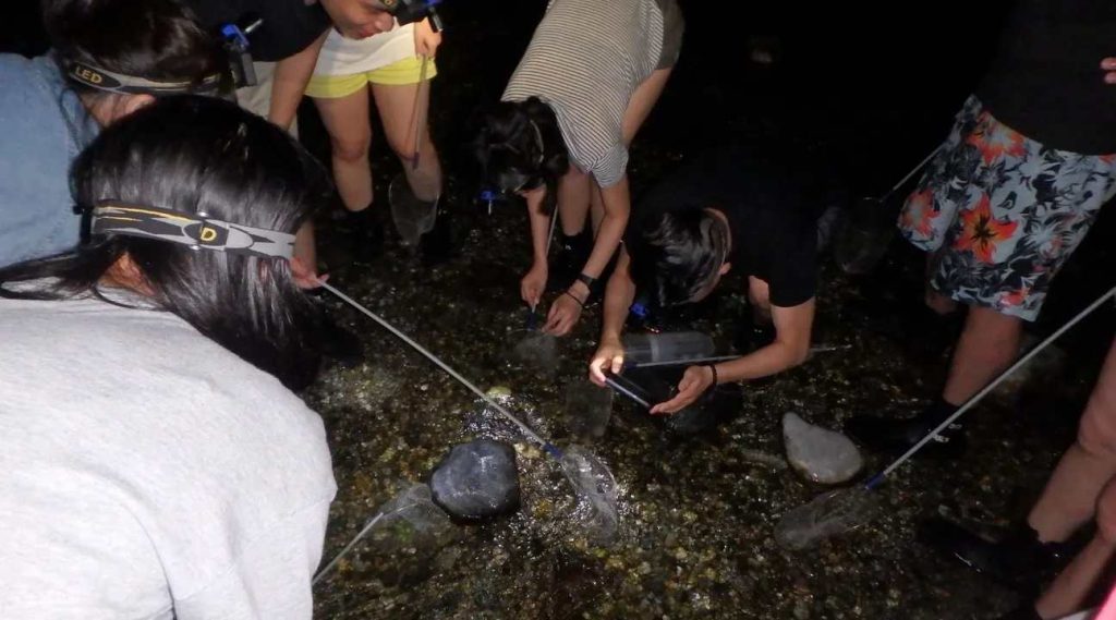 【海釣體驗】全台Top5海釣活動、夜釣體驗、海上活動推薦! 9 20250522004658 0 b8a114
