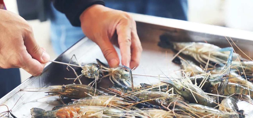 【海釣體驗】全台Top5海釣活動、夜釣體驗、海上活動推薦! 12 20250522004718 0 96c022
