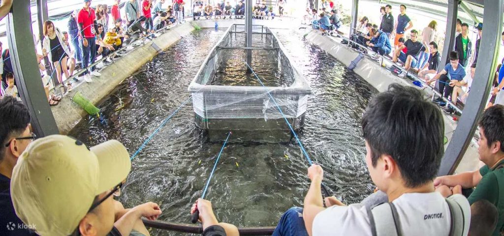 【海釣體驗】全台Top5海釣活動、夜釣體驗、海上活動推薦! 11 20250522004724 0 ba9e8a