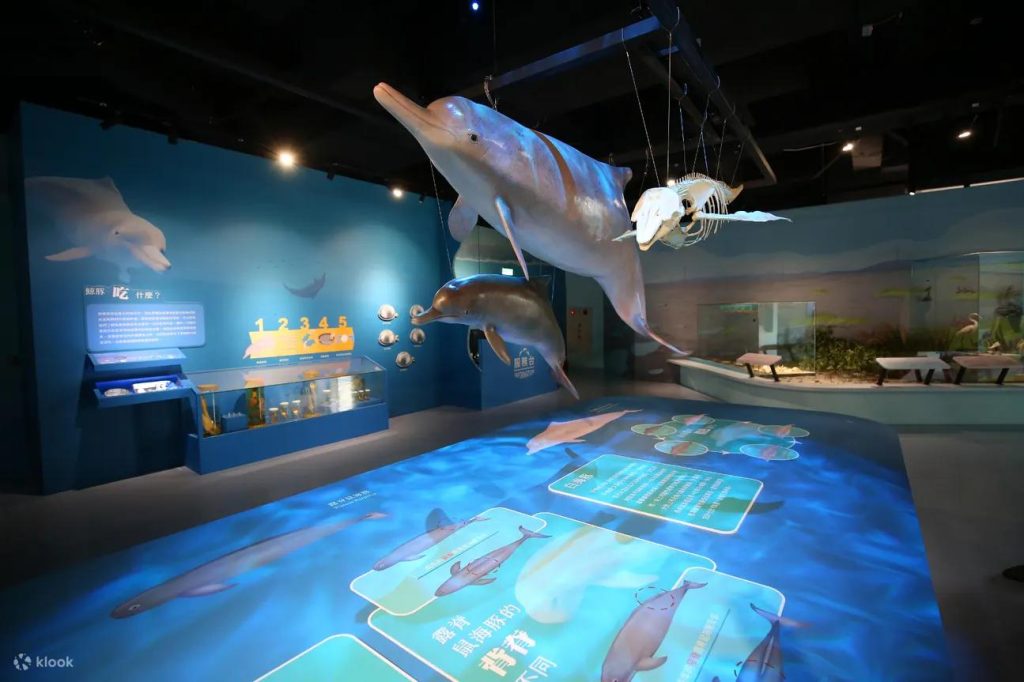 【台中科博館】2025科博館展覽、6大展區、立體劇場、植物園! 3 20250624162547 0 003d1b