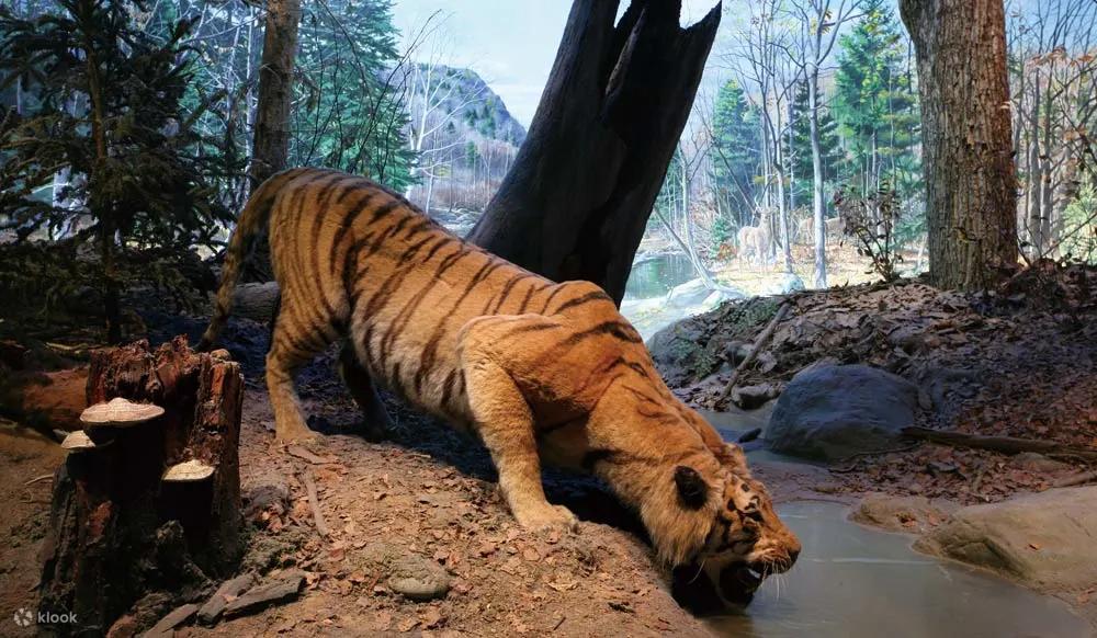【台中科博館】2025科博館展覽、6大展區、立體劇場、植物園! 5 20250624162635 0 167de9
