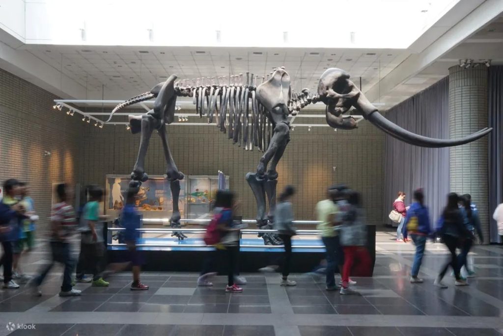 【台中科博館】2025科博館展覽、6大展區、立體劇場、植物園! 6 20250624162708 0 37e965