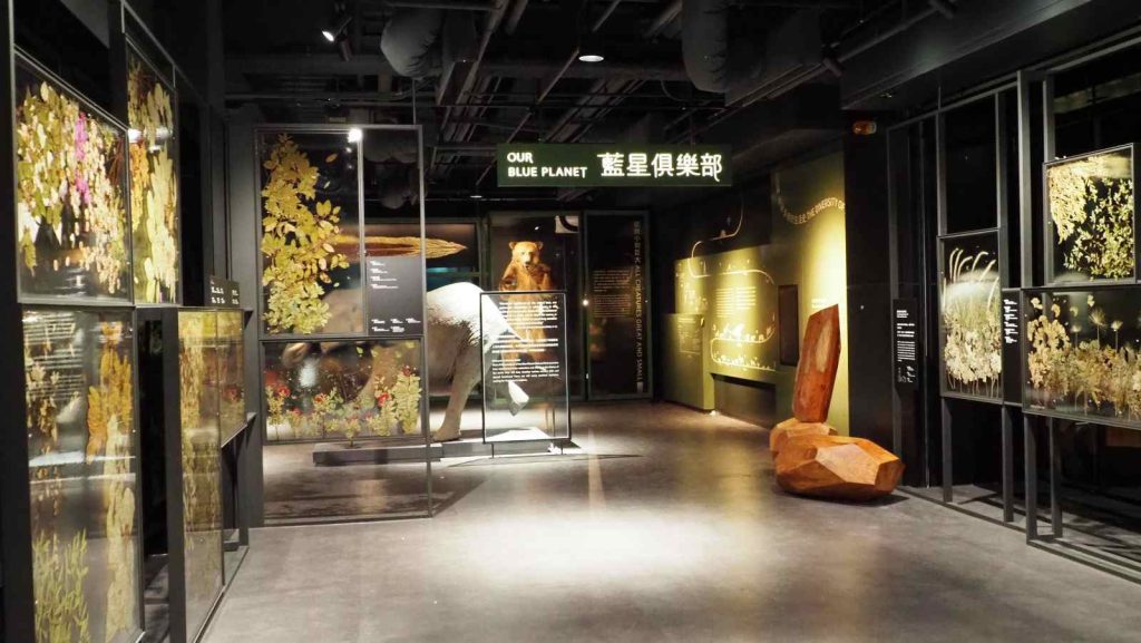 【台北科教館】2025科教館特展門票、5大展區、科學劇場! 6 20250626222212 0 da37c8
