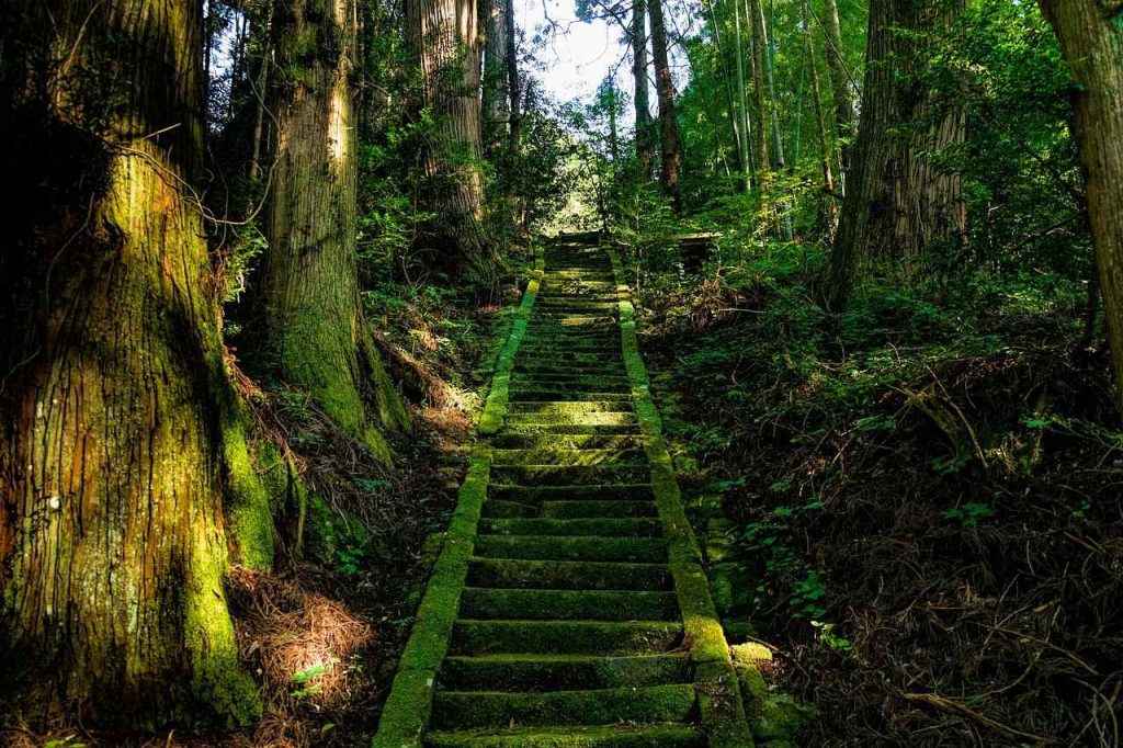 【2025最新】熊本景點Top10必去、熊本城、阿蘇火山、城彩苑! 9 20250630162241 0 f6ac41