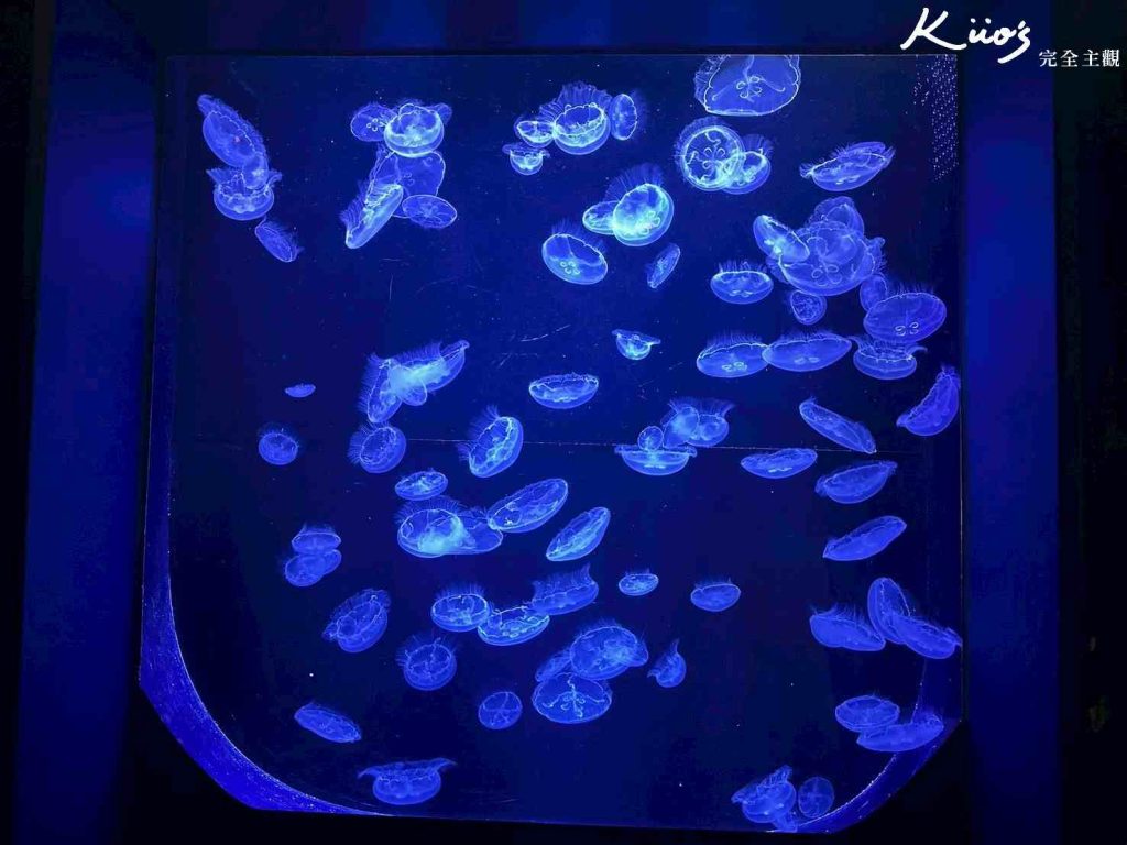 20251216185039 0 d2bba9