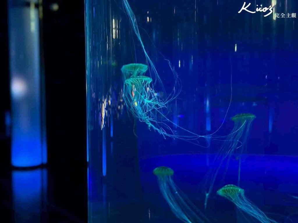 20251216185236 0 350160