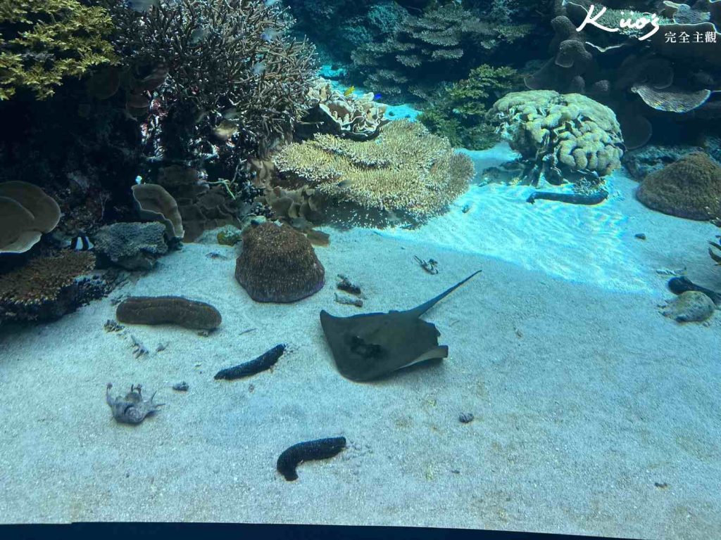 20251216185525 0 afc88d