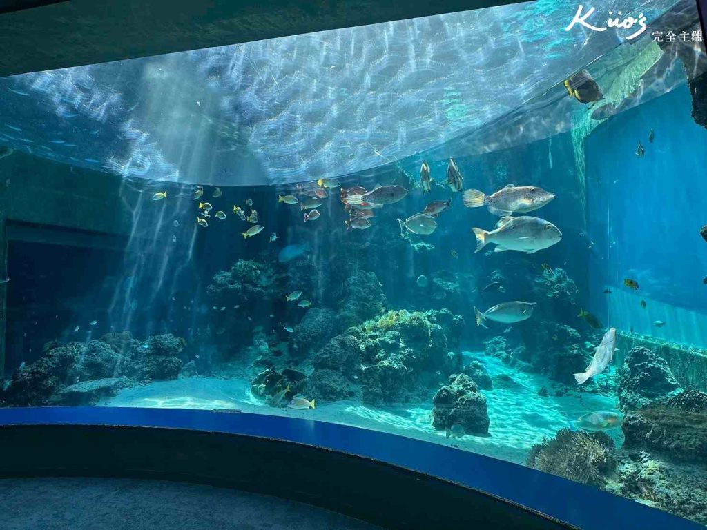 20251216185536 0 935d24