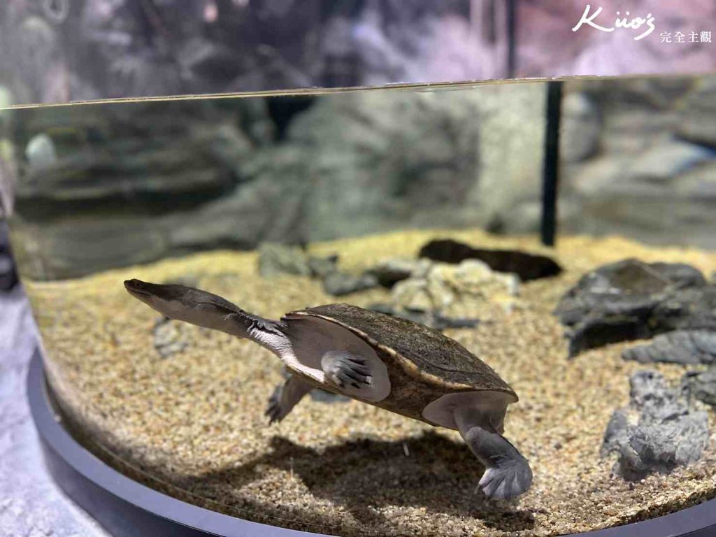 20251216185714 0 c05063