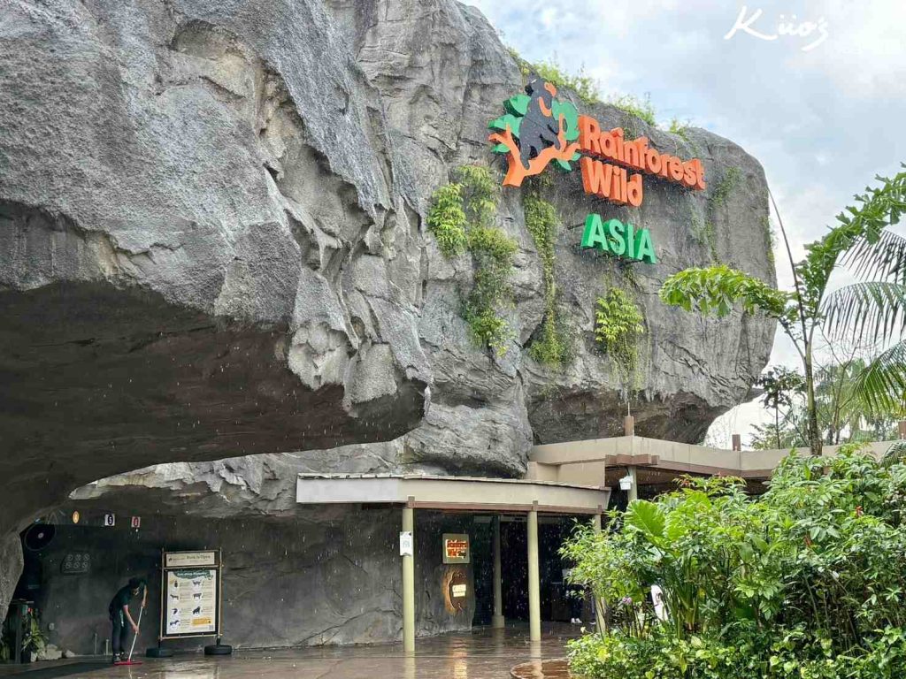【亞洲雨林探險園】新加坡Rainforest Wild Asia、10大必玩亮點! 3 20251015160611 0 6c7081