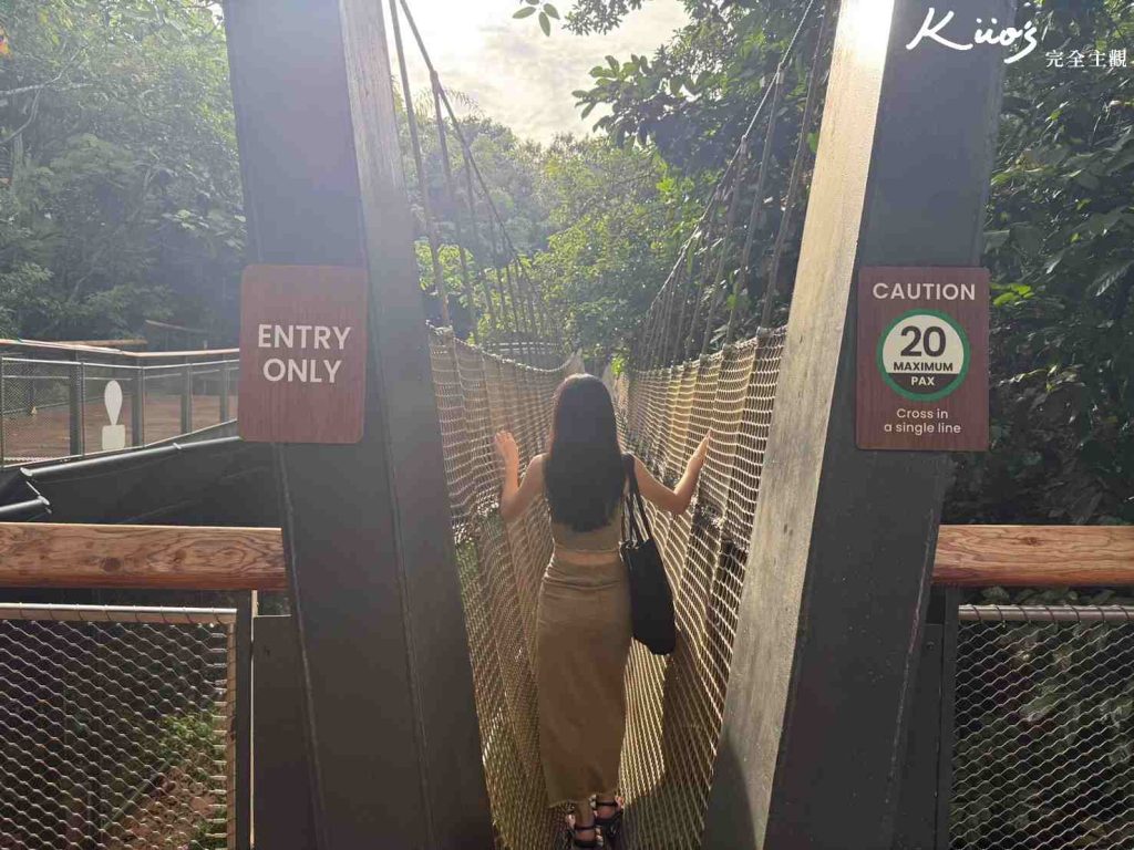 【亞洲雨林探險園】新加坡Rainforest Wild Asia、10大必玩亮點! 5 20251015161928 0 b061e4