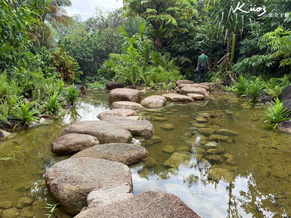 【亞洲雨林探險園】新加坡Rainforest Wild Asia、10大必玩亮點! 16 20251015162156 0 6d5fdc