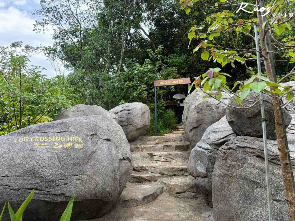 【亞洲雨林探險園】新加坡Rainforest Wild Asia、10大必玩亮點! 14 20251015162156 0 90146f