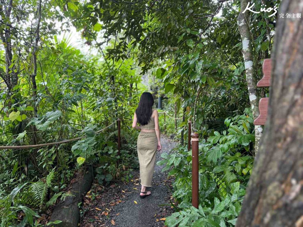【亞洲雨林探險園】新加坡Rainforest Wild Asia、10大必玩亮點! 15 20251015162413 0 69531f