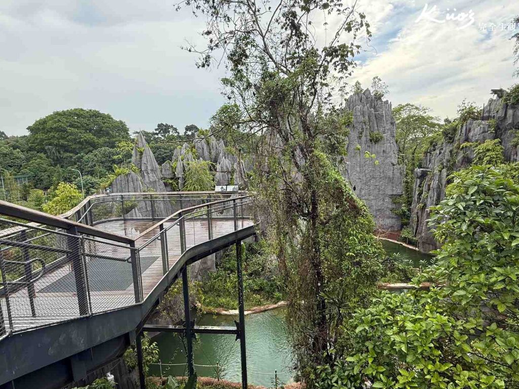 【亞洲雨林探險園】新加坡Rainforest Wild Asia、10大必玩亮點! 20 20251015162527 0 02d368