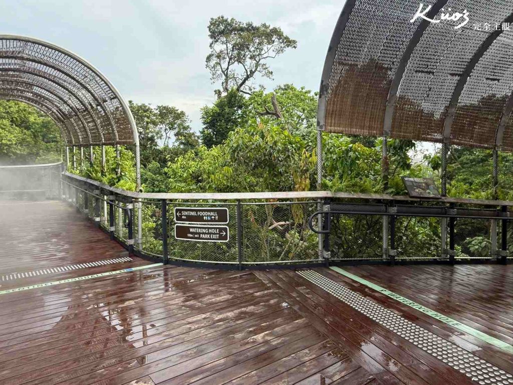 【亞洲雨林探險園】新加坡Rainforest Wild Asia、10大必玩亮點! 22 20251015162527 0 0eb8f1