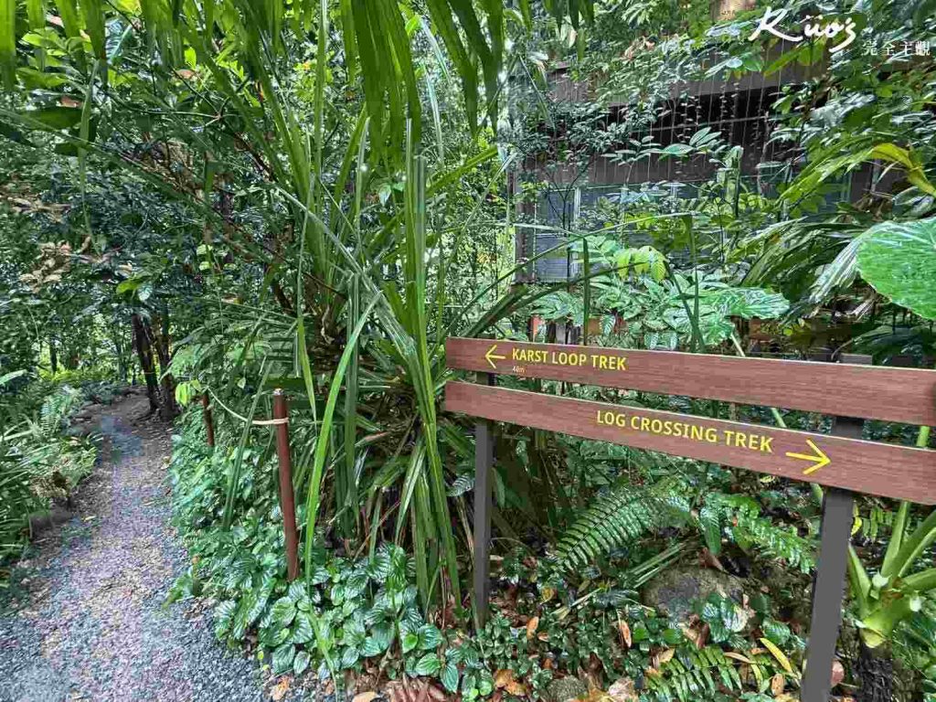 【亞洲雨林探險園】新加坡Rainforest Wild Asia、10大必玩亮點! 26 20251015162644 0 6742a0