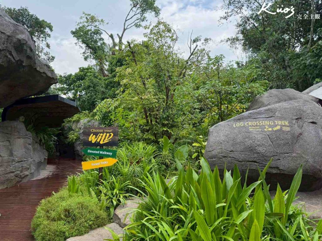 【亞洲雨林探險園】新加坡Rainforest Wild Asia、10大必玩亮點! 25 20251015162644 0 7f7a0c