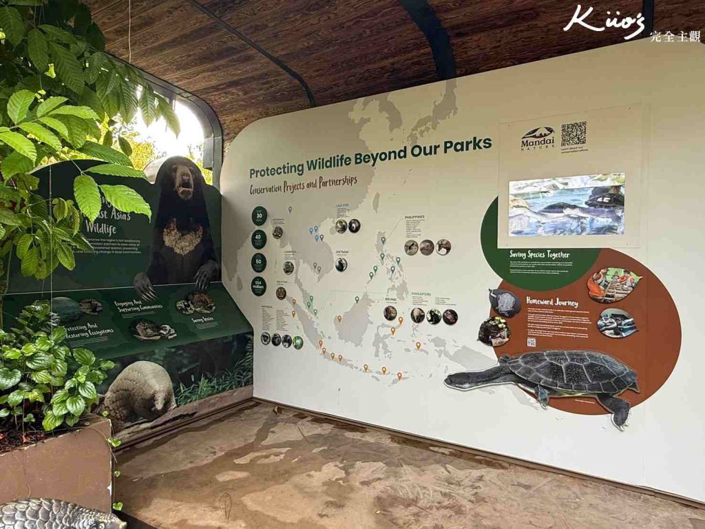 【亞洲雨林探險園】新加坡Rainforest Wild Asia、10大必玩亮點! 23 20251015162644 0 d28ee4