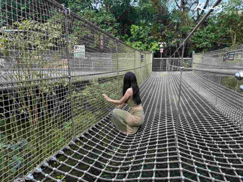 【亞洲雨林探險園】新加坡Rainforest Wild Asia、10大必玩亮點! 32 20251015162824 0 06411d