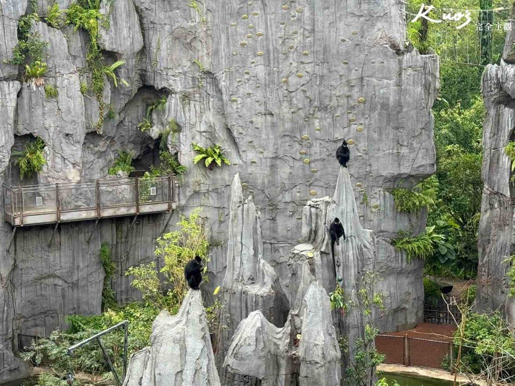 【亞洲雨林探險園】新加坡Rainforest Wild Asia、10大必玩亮點! 31 20251015162825 0 cded8d