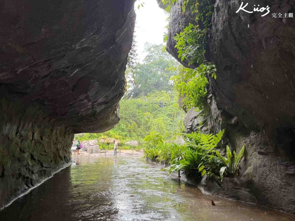 【亞洲雨林探險園】新加坡Rainforest Wild Asia、10大必玩亮點! 46 20251015163055 0 36bc9c