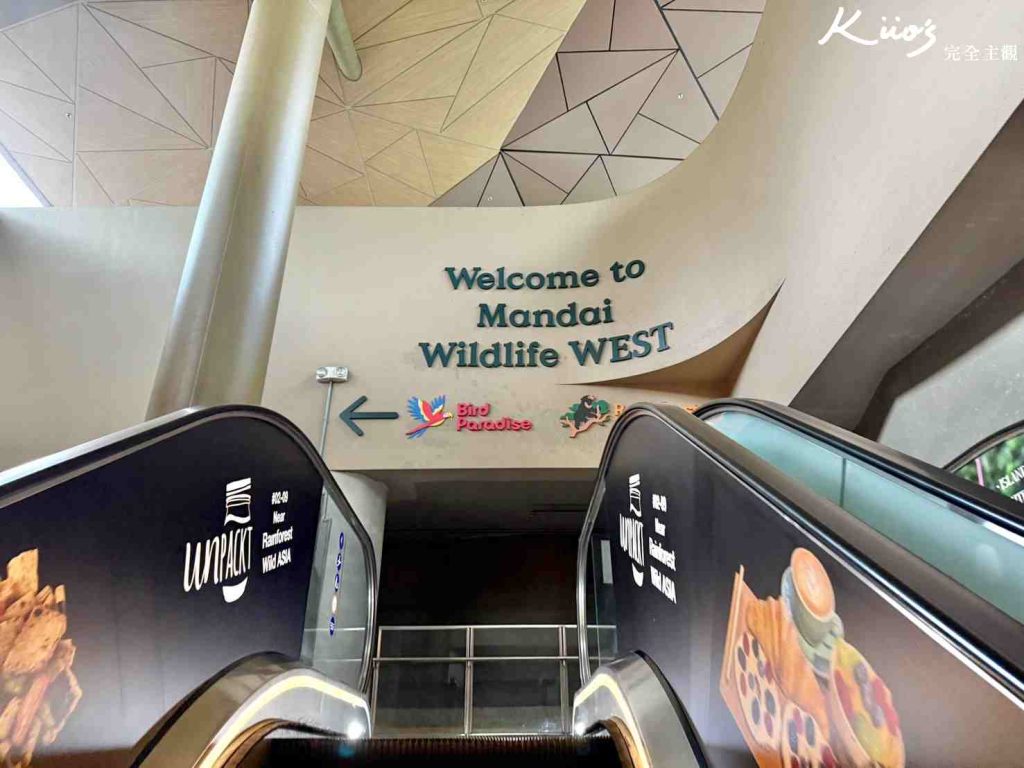 【亞洲雨林探險園】新加坡Rainforest Wild Asia、10大必玩亮點! 51 20251015163127 0 44e21a