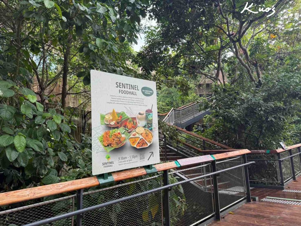 【亞洲雨林探險園】新加坡Rainforest Wild Asia、10大必玩亮點! 55 20251015164244 0 f81ba7